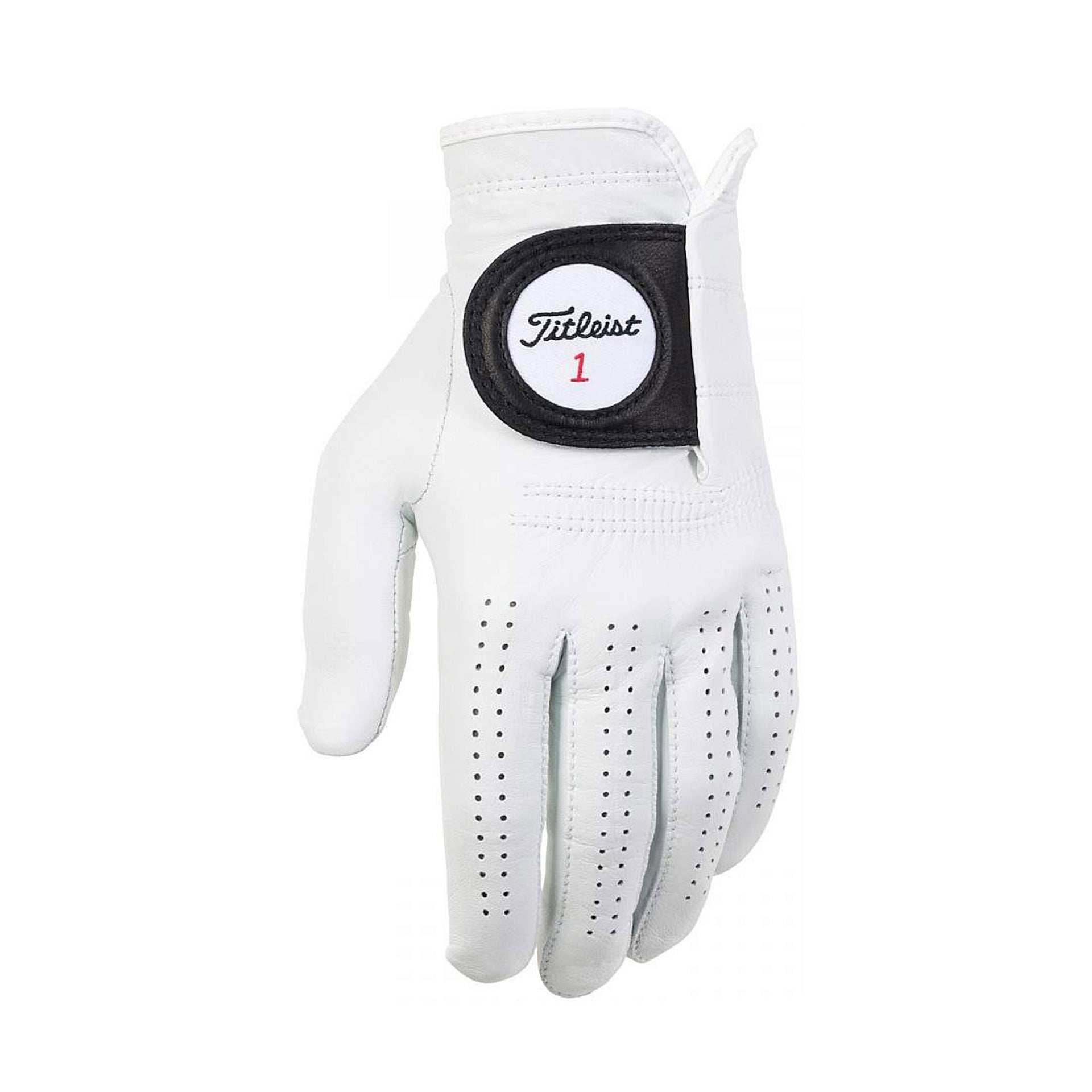TITLEIST PLAYERS GLOVES L / Left