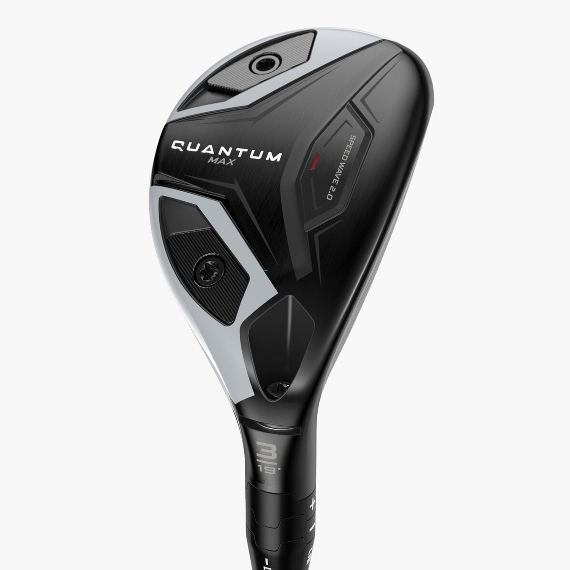 QUANTUM MAX HYBRIDS
