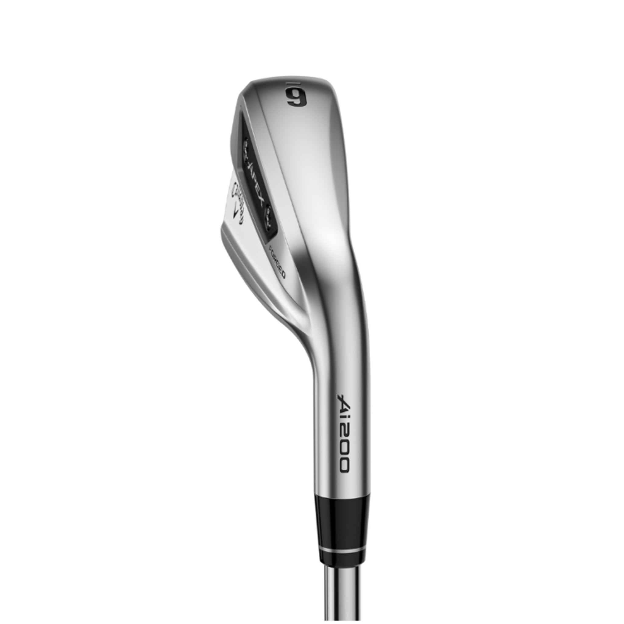 APEX AI200 IRONS 4-PW / TRUE TEMPER DYNAMIC GOLD MID 100STEEL REGULAR / RIGHT