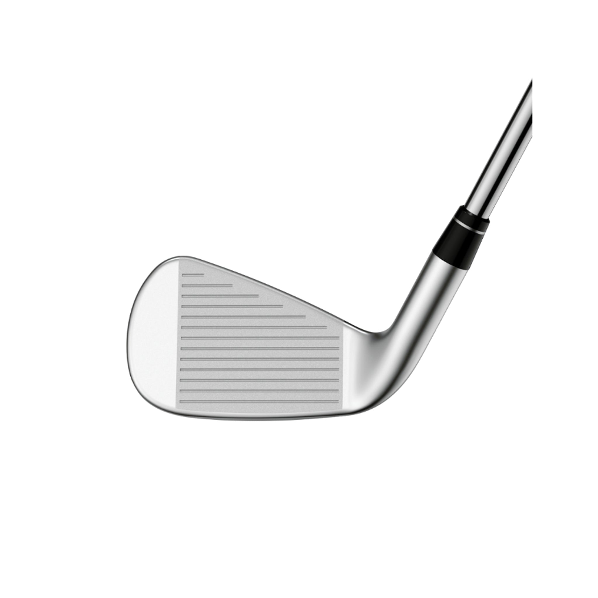 APEX AI200 IRONS 4-PW / TRUE TEMPER DYNAMIC GOLD MID 100STEEL REGULAR / RIGHT