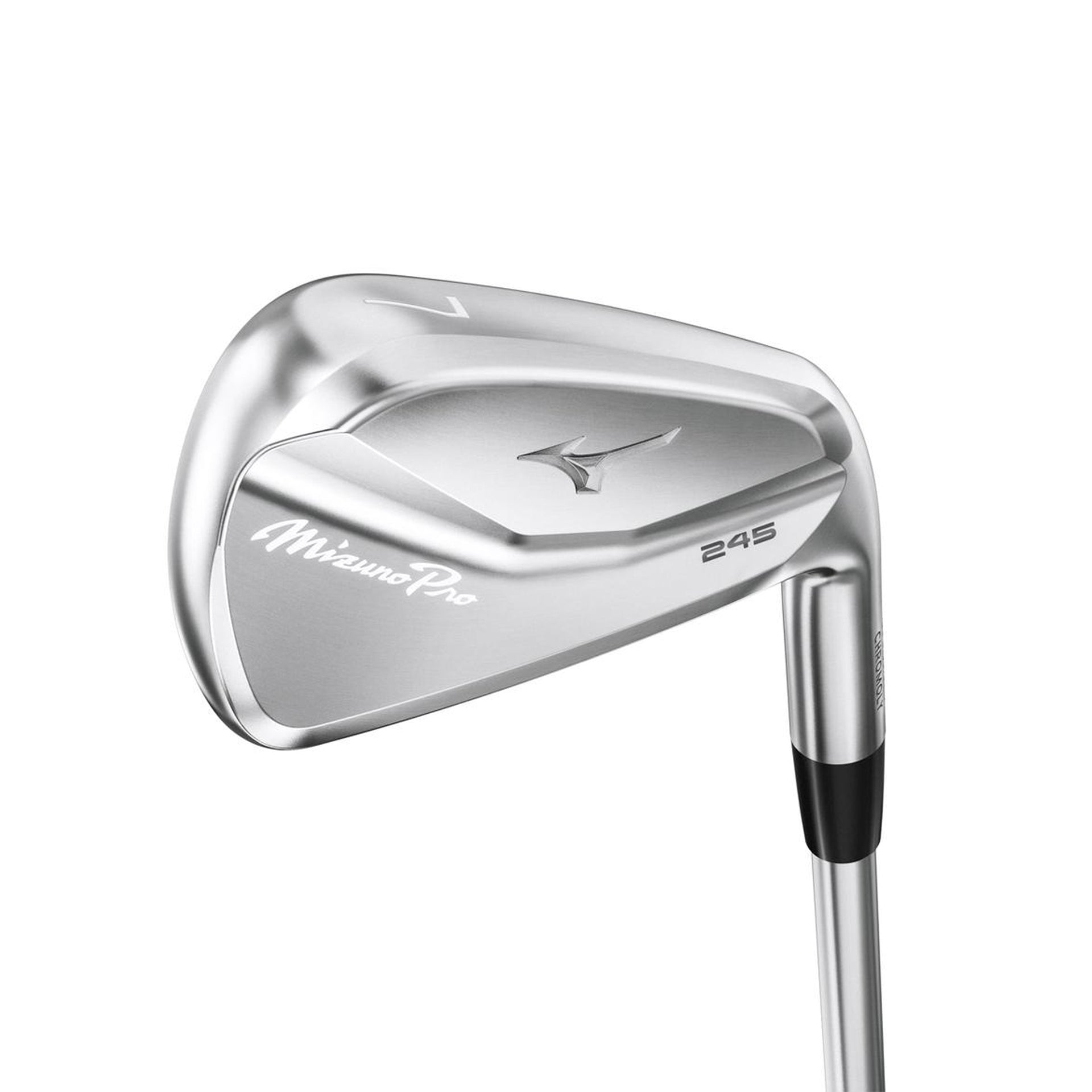 MIZUNO PRO245 4P IRON SET 4-PW / DYN GOLD MID 100  REGULAR / Right Hand