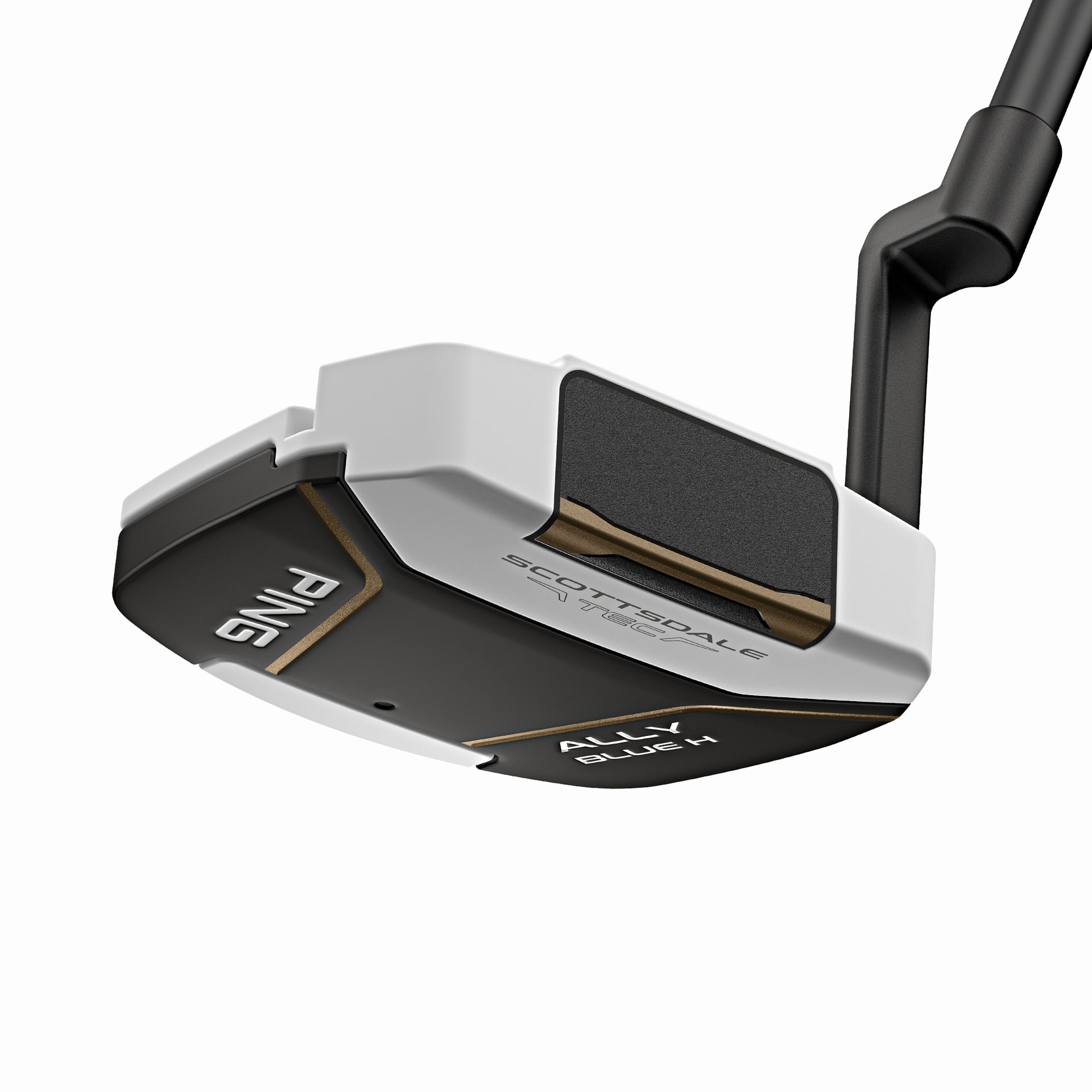 SCOTTSDALE TEC ALLY BLUE H CB PUTTER