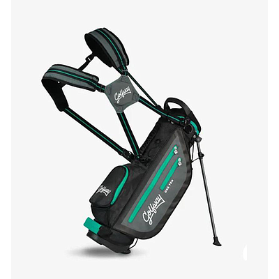 STAND BAG(14-16+YEARS)GOLFWAY CHAMPION 